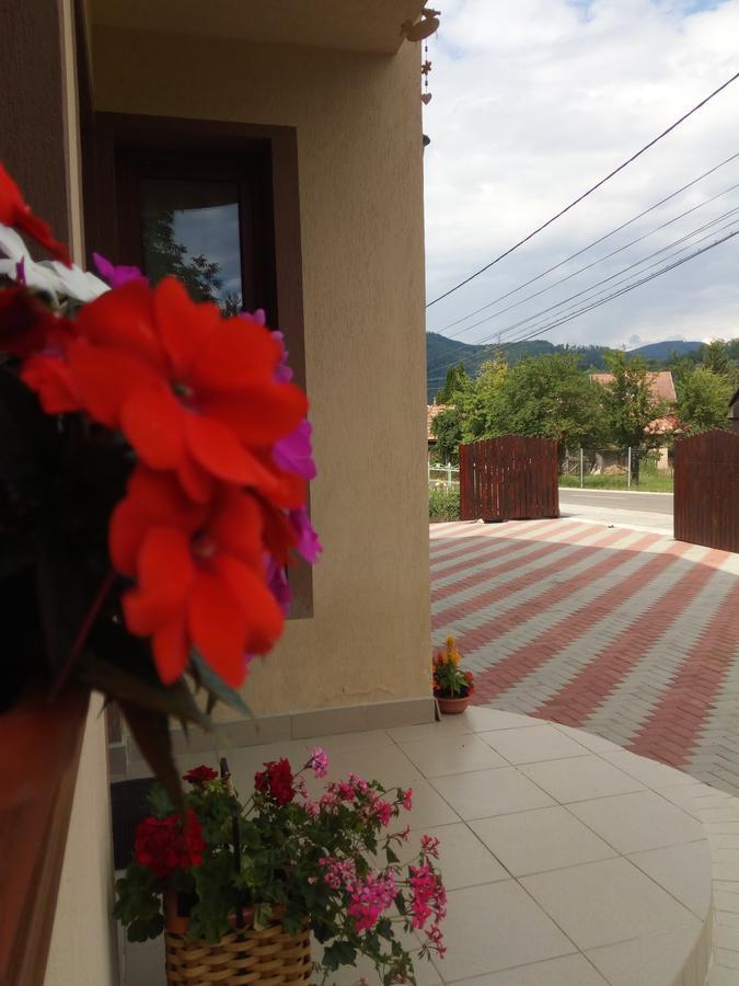Готель Casa Infinity Совата Екстер'єр фото